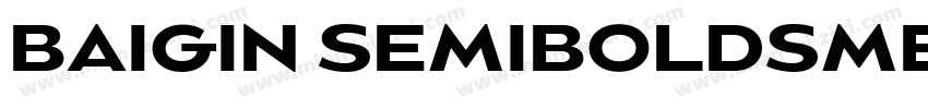 BAIGIN SEMIBOLDSMEXPANDED字体转换